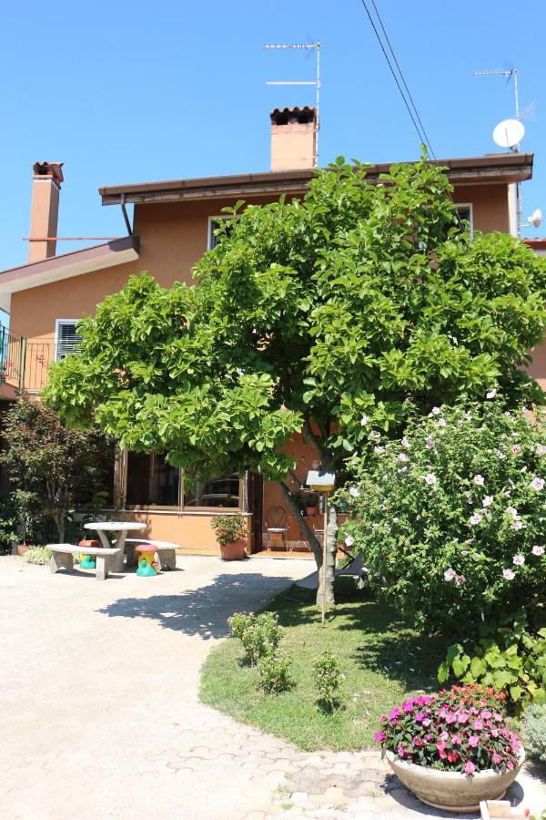 Апартаменты Casa Flora Treppo Grande Экстерьер фото